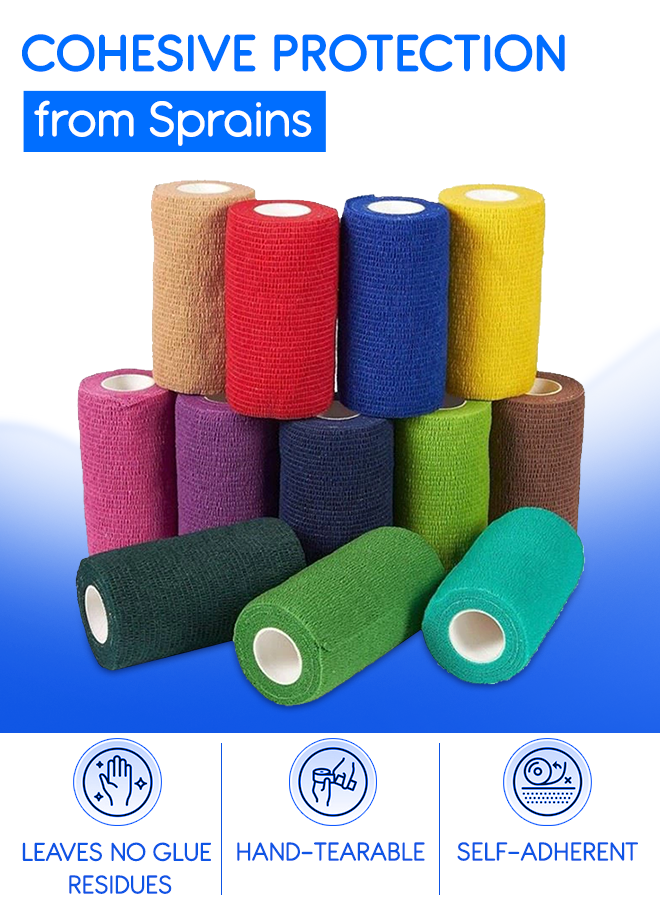 First Step Cohesive Bandage 10 CM (12Pcs)