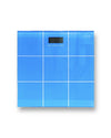 Focus Weight Scale Blue 2008C